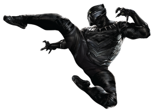 Black Panther Costume Cosplay For Men Full Set